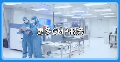 GMP验证是什么？